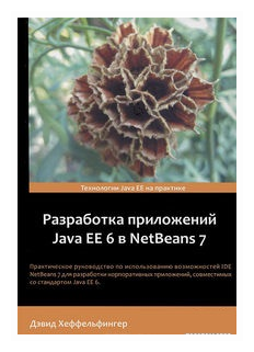 Разработка приложений Java EE 6 в NetBeans 7 - фото №1