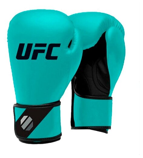     UFC 16  ()