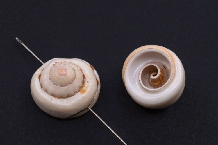 Ракушка с отверстием около 20х17 и 6х13мм отверстие 1мм цвет бежевый 526-085 2шт