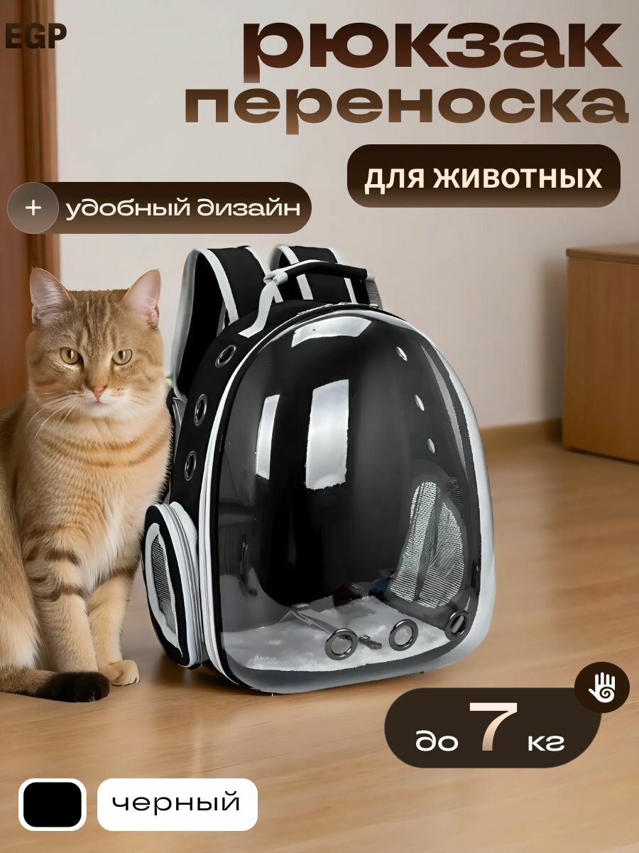 Рюкзак переноска для животных мелких пород черный с прозрачной дверцей