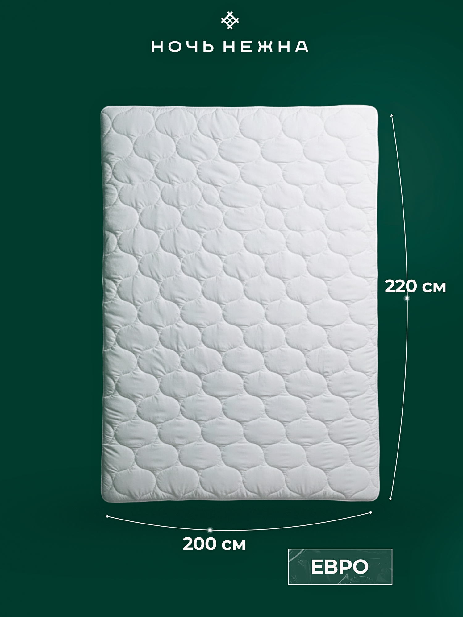 Одеяло Евро 200x220 см Ночь Нежна, Winter — фото 1