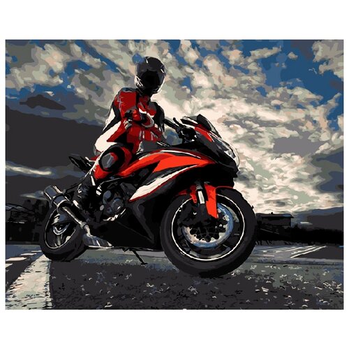 ВанГогВоМне Картина по номерам Мотоциклист (ZX 20927)50x40см вангогвомне картина по номерам девушка и тигр zx 21182 50x40см
