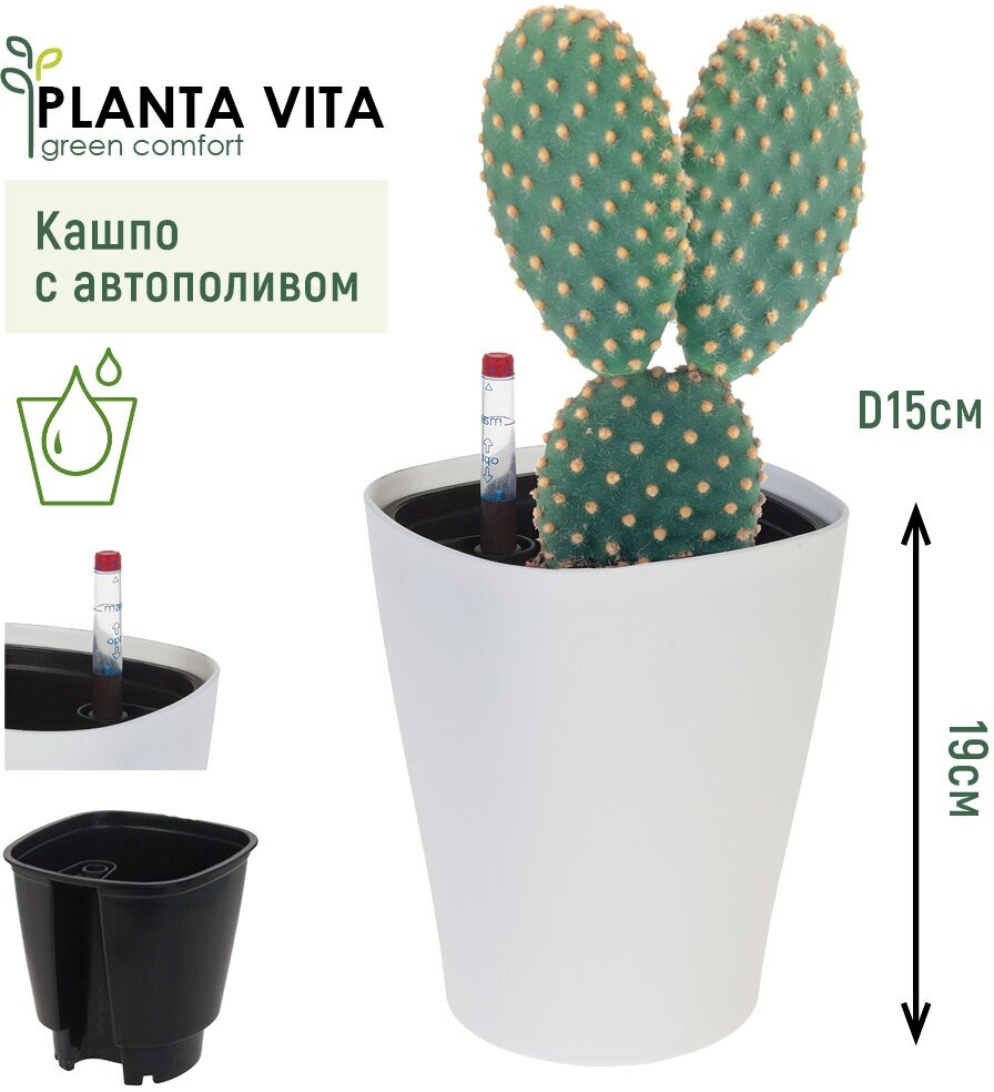 Кашпо PLANTA VITA 