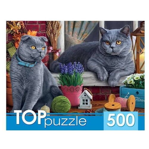 Пазл Рыжий кот TOPpuzzle Два британских кота (ХТП500-4214), 500 дет., 48.5х34.5х6.5 см, голубой