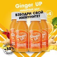 Имбирные шоты Ginger UP для естественной поддержки иммунитета — Имбирный сок холодного отжима с куркумой и кайенским перцем, 4 шт x 59 мл.