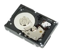 Жесткий диск Dell 2Tb NL SATA для G13 7.2K RPM 6Gbps 512e 2.5in Hot-plug Hard Drive (400-AHLZ)
