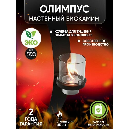 Биокамин настенный Lux Fire Олимпус D (черный)