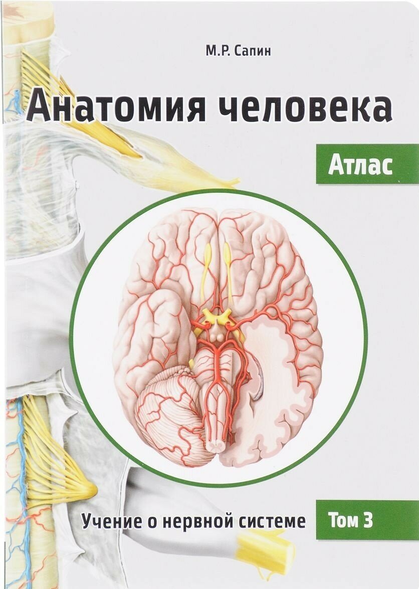 Анатомия человека. Атлас. Учебное пособие. В 3-х томах. Том 3. Учение о нервной системе - фото №4