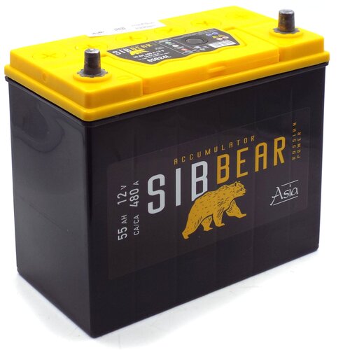 Аккумулятор автомобильный SIBBEAR ASIA 65B24L 55 А*ч о. п 238х175х190 Обратная полярность