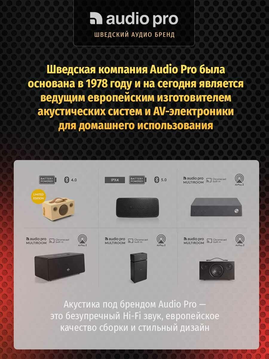 Акустическая система Audio Pro - фото №6