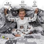 Постельное белье полутороспальное TEO kids Серые котики/комплект для детей/хлопок/ наволочка 50*70 ./ КПБ 1,5-спальный - изображение