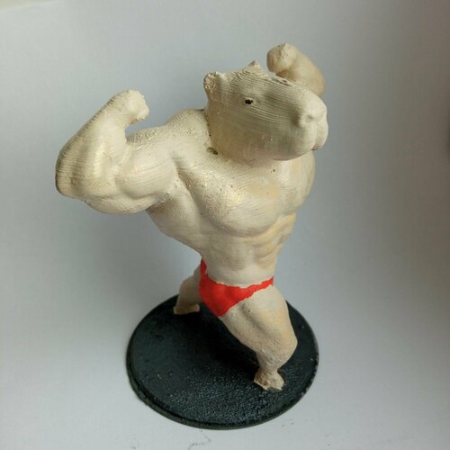 Крутая Капибара силач в трусах 747₽