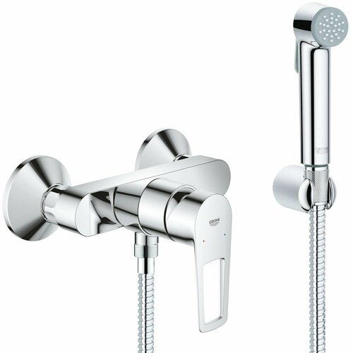 Гигиенический душ со смесителем Grohe BauLoop New, хром