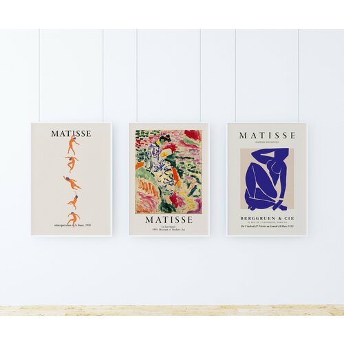   Matisse 3 . /     2 (4060 )  