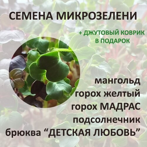 Набор семян микрозелени 4