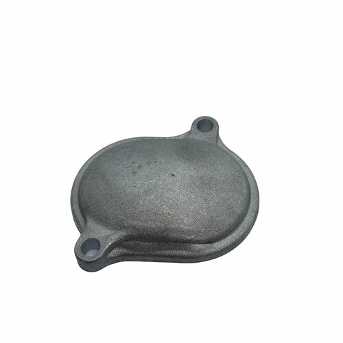 Крышка регулировочного отверстия (головки цилиндра ДВС), впускного клапана