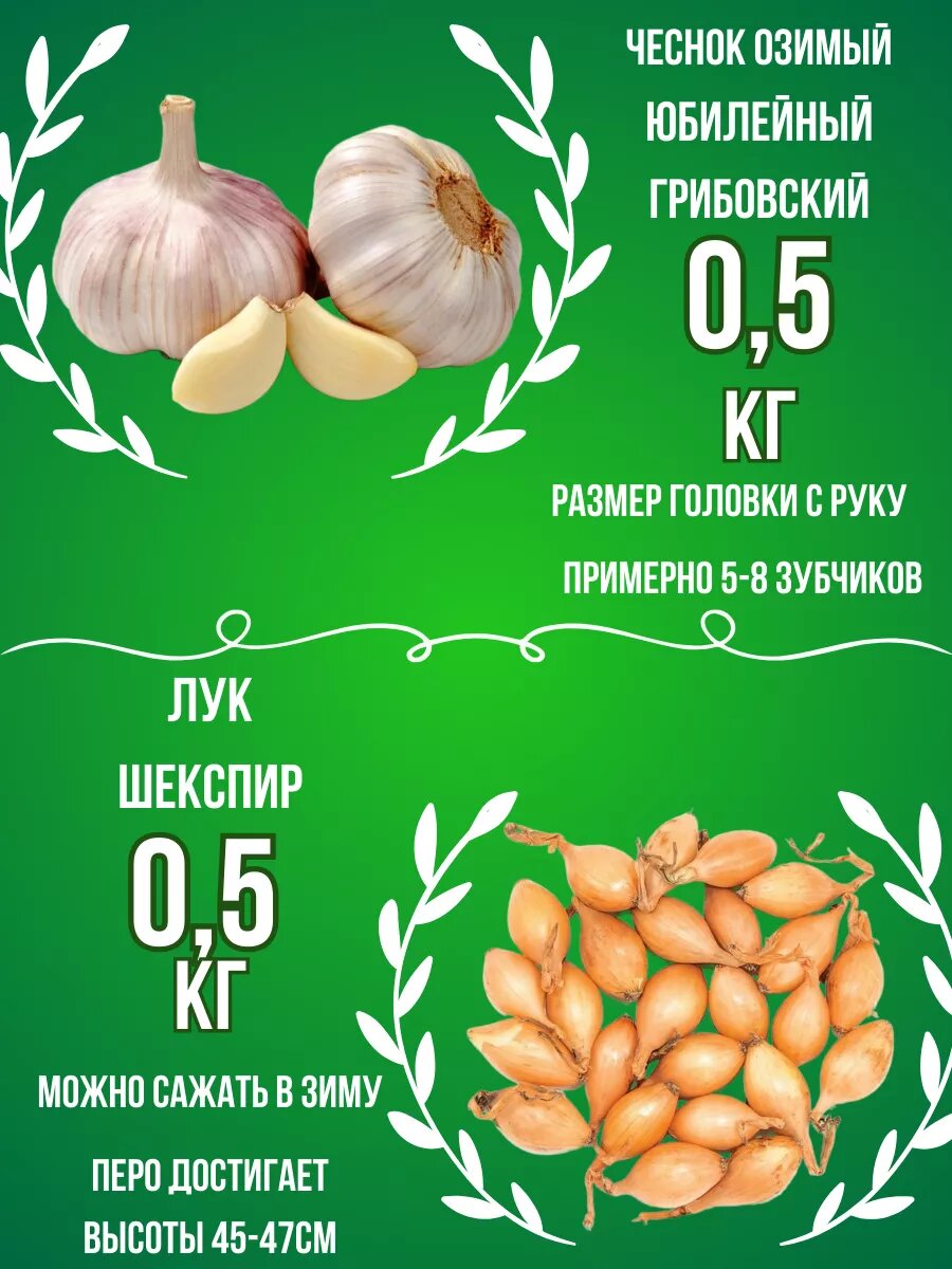 Набор Чеснок Озимый и Лук севок 0.5 кг