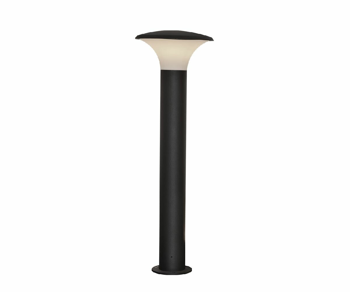 Kink Light - фото №1