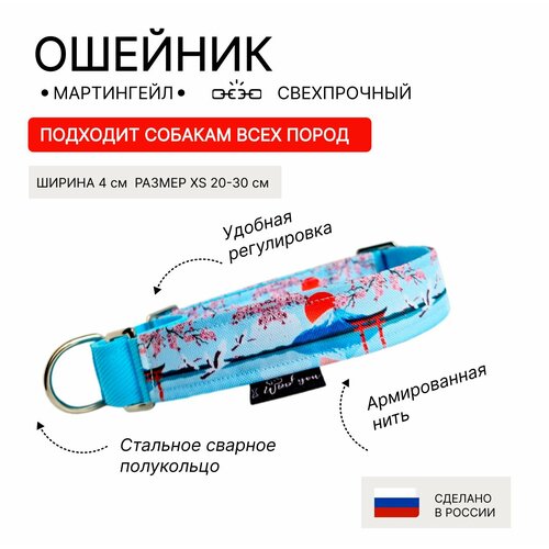 Ошейник для собак с принтом, мартингейл, полуудавка ширина 40 мм