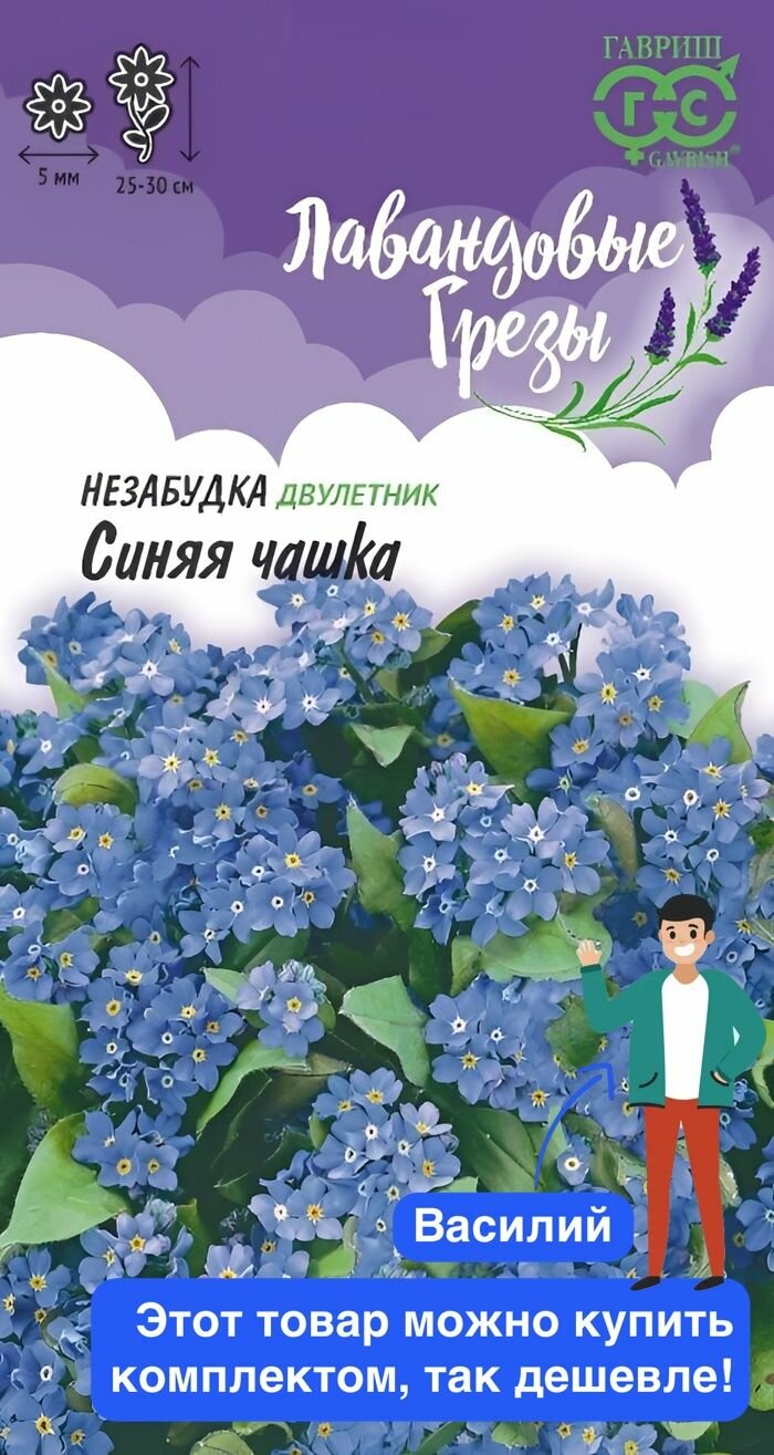 Цветы Незабудка Синяя чашка