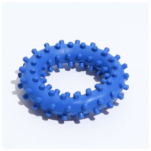 игрушка кольцо с шипами 6 15 5 см синяя зооник Зооник Игрушка Кольцо с шипами №2, 6,8 см, синяя