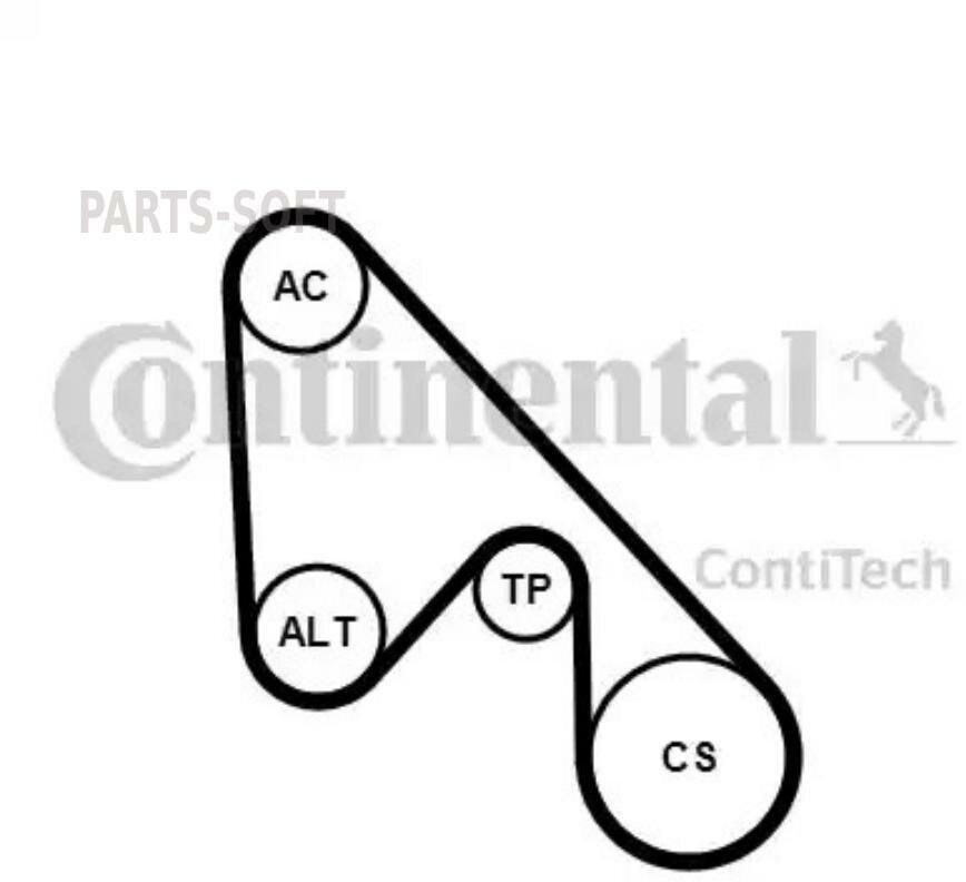 CONTITECH 5PK1145K1 Ремень поликлиновой с роликами комплект