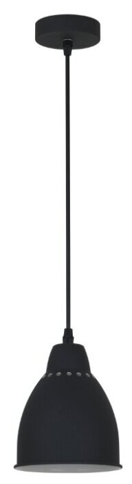 Светильник подвесной Camelion PL-430S-1 LOFT С02 черный
