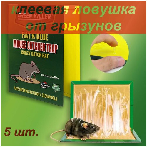 Клеевая ловушка книжка от мышей и крыс 5 штук