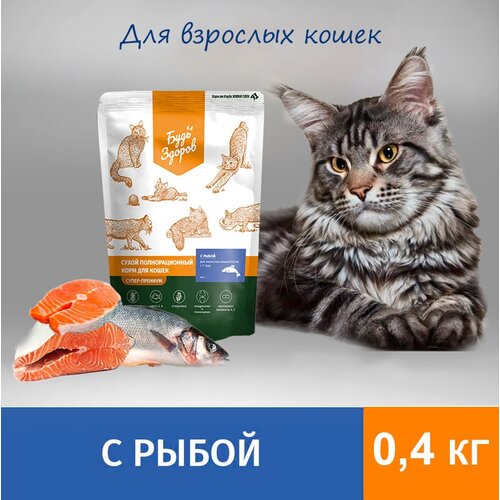 Будь Здоров Живая Сила. Сухой полнорационный корм для взрослых кошек/котов с 1 года. С рыбой. 0.4 кг.