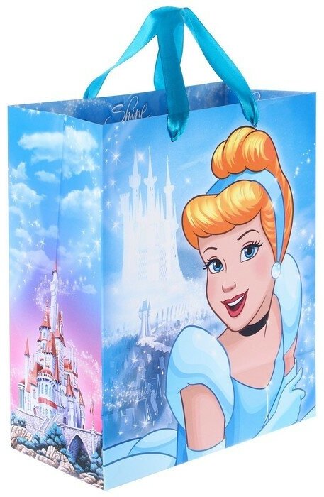 Disney Пакет ламинированный вертикальный, 23 х 27 х 11,5 см "Time to be princess", Принцессы