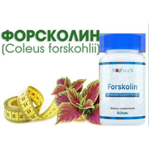 Forskolin Noxygen эффективный жиросжигатель, повышение тестостерона, форсколин 250 мг (10%), 60 табл.