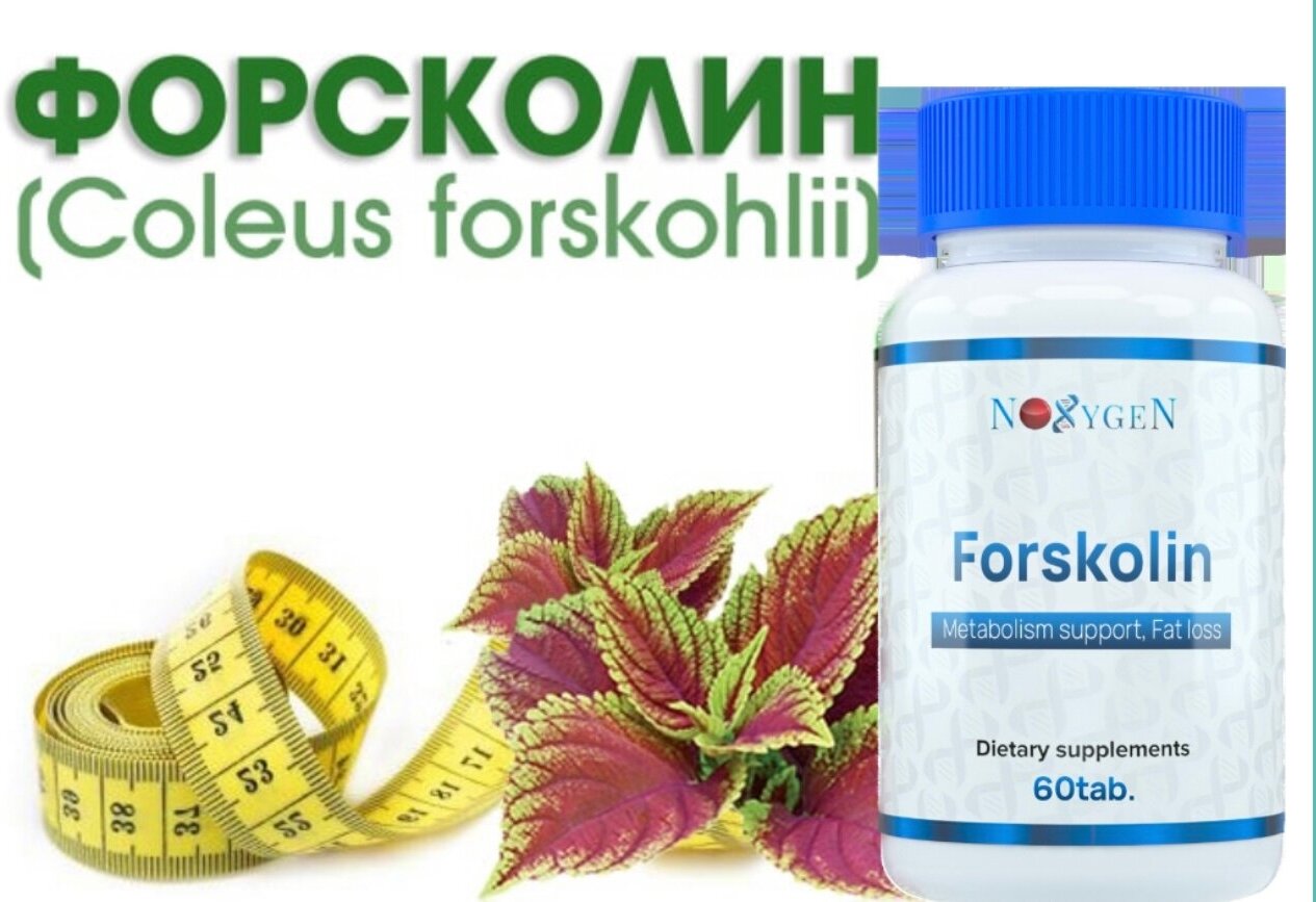 Forskolin Noxygen эффективный жиросжигатель, повышение тестостерона, форсколин 250 мг (10%), 60 табл.