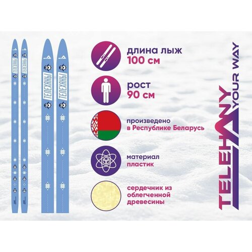 Беговые лыжи TELEHANY SPORT JR, 100 см