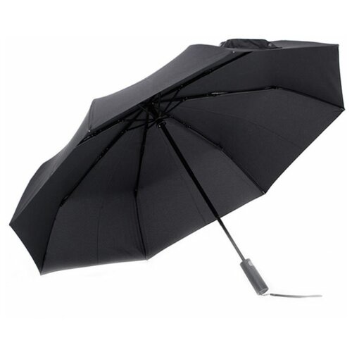 Зонт Pinlo Automatic Umbrella