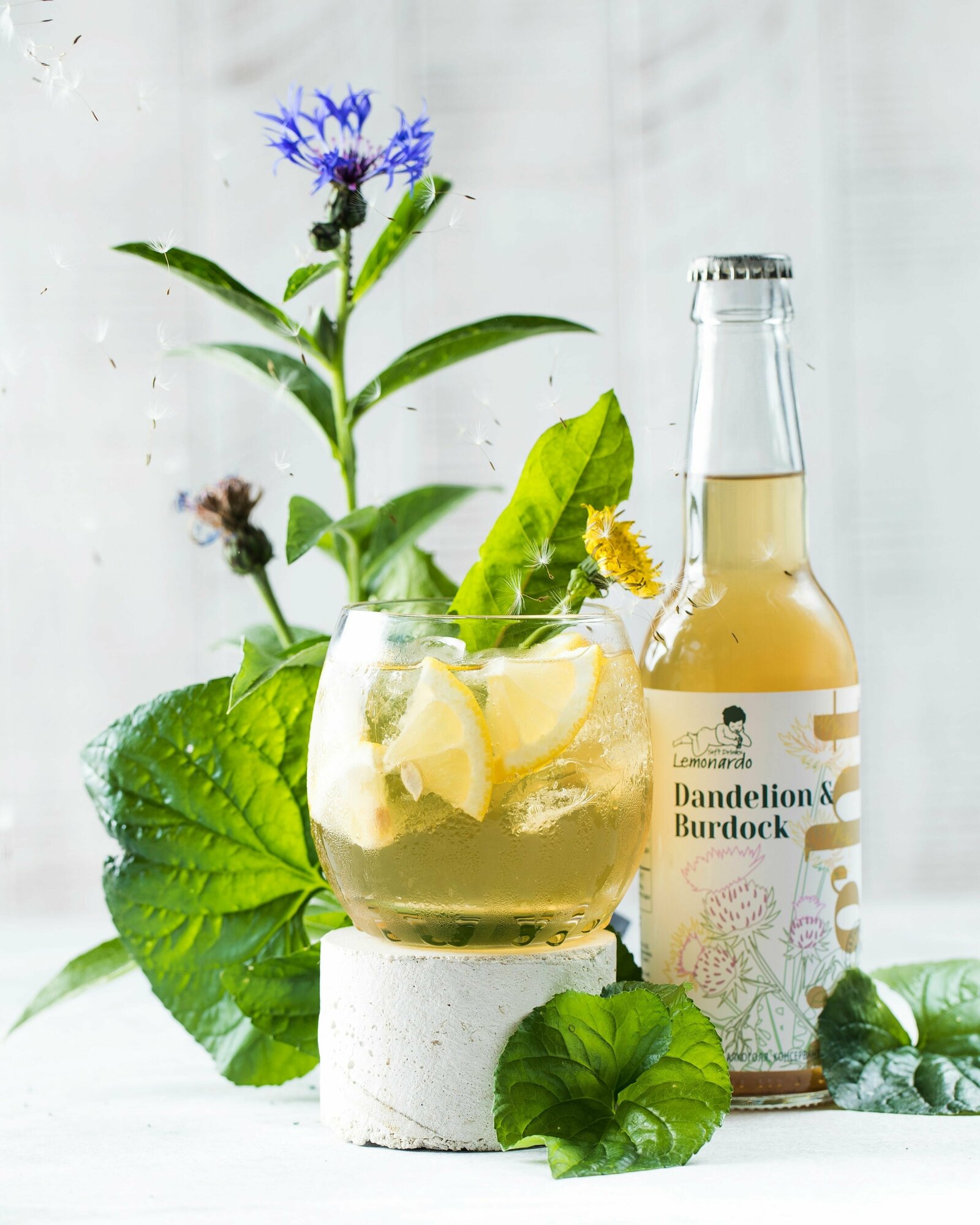 Натуральный лимонад Одуванчик и Лопух со стевией / Lemonardo Dandelion & Burdock Light, 330мл. 6шт - фотография № 4