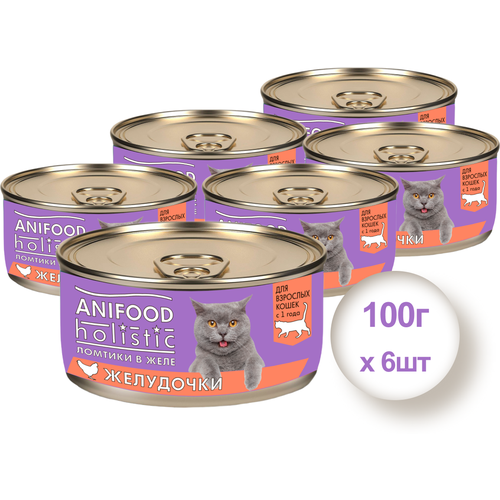 Консервы для кошек Anifood Holistic желудочки ломтики в желе, 100 гр * 6 шт