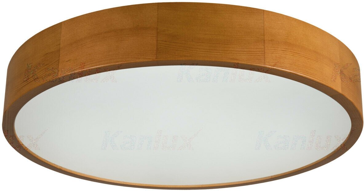 Потолочный светильник Kanlux Jasmin 36442