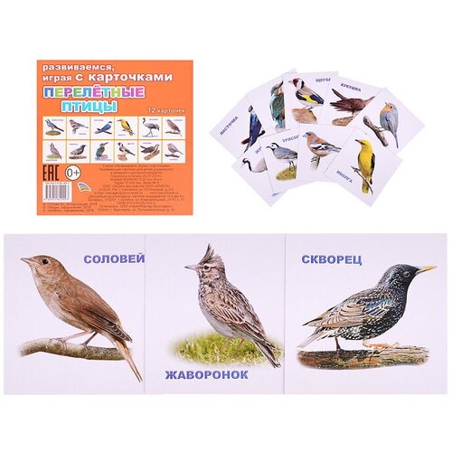 Обучающие карточки. ЕП. Перелетные птицы 0+ обучающие карточки еп animals животные