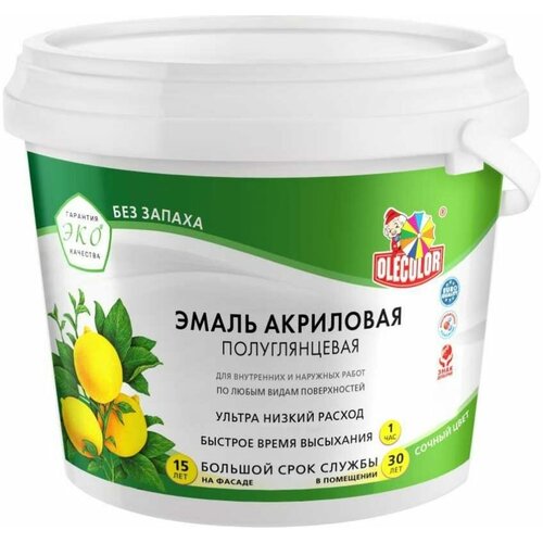 Грунт-эмаль по ржавчине 3 в 1 OLECOLOR Серебро 20 кг