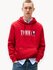 Худи для мужчин Tommy Jeans, Цвет: красный, Размер: XL INT