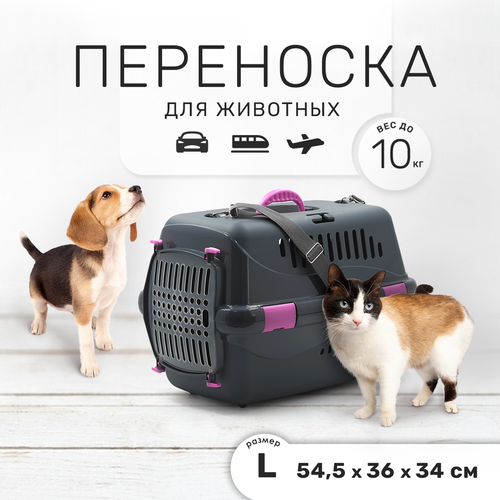 Пластиковая клиппер-переноска для кошек и собак ZOOSET, 54,5х36х34 см, с плечевым ремнем, серая/сиреневая
