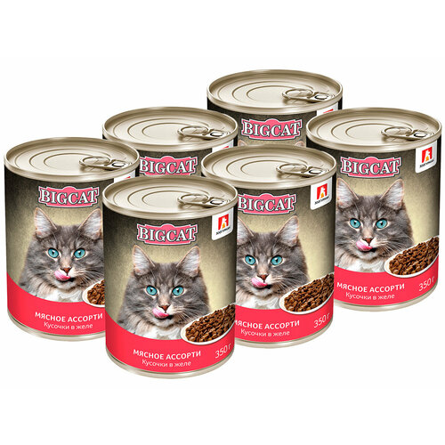 Зоогурман BIG CAT для взрослых кошек с мясным ассорти в желе банка 350 гр NEW 350 гр х 6 шт
