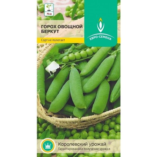 Горох беркут. Семена. Среднеранний сорт. Горошек тёмно-зеленый, выравненный по размеру