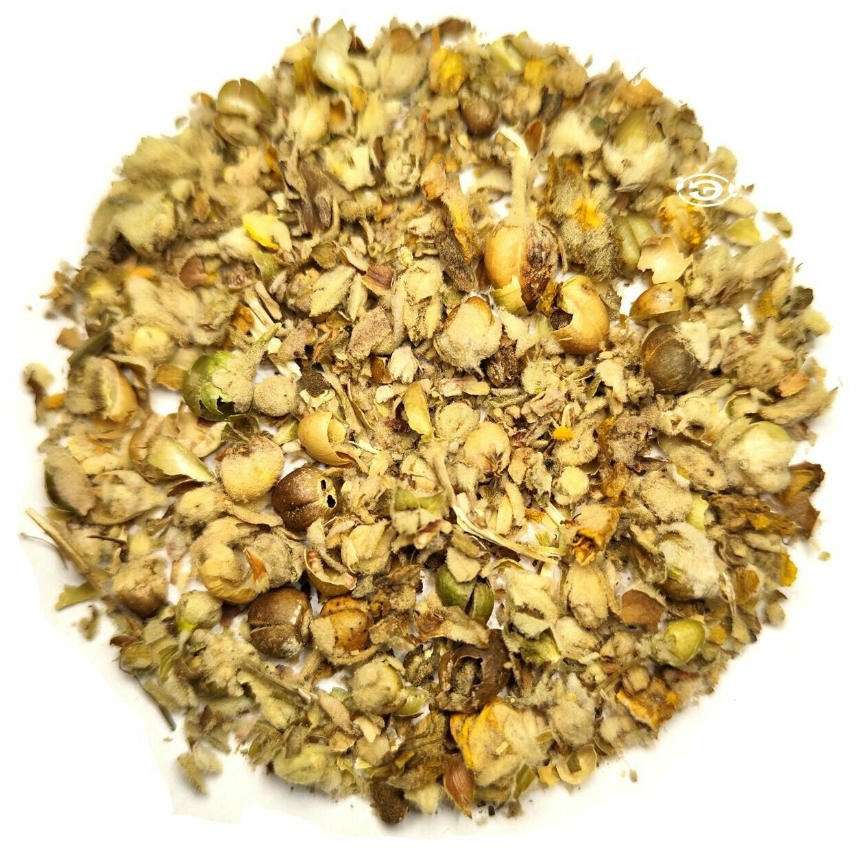Коровяк обыкновенный цвет цветочный чай при простуде