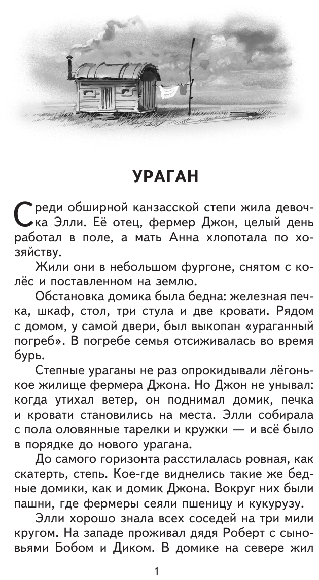 Волшебник Изумрудного города (ил. В. Канивца) - фото №10