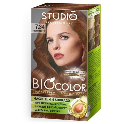 Studio Professional      Studio Professional 7.34  , 50 