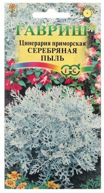 Гавриш Цинерария Серебряная пыль (приморская) 0,05 г 1071858314