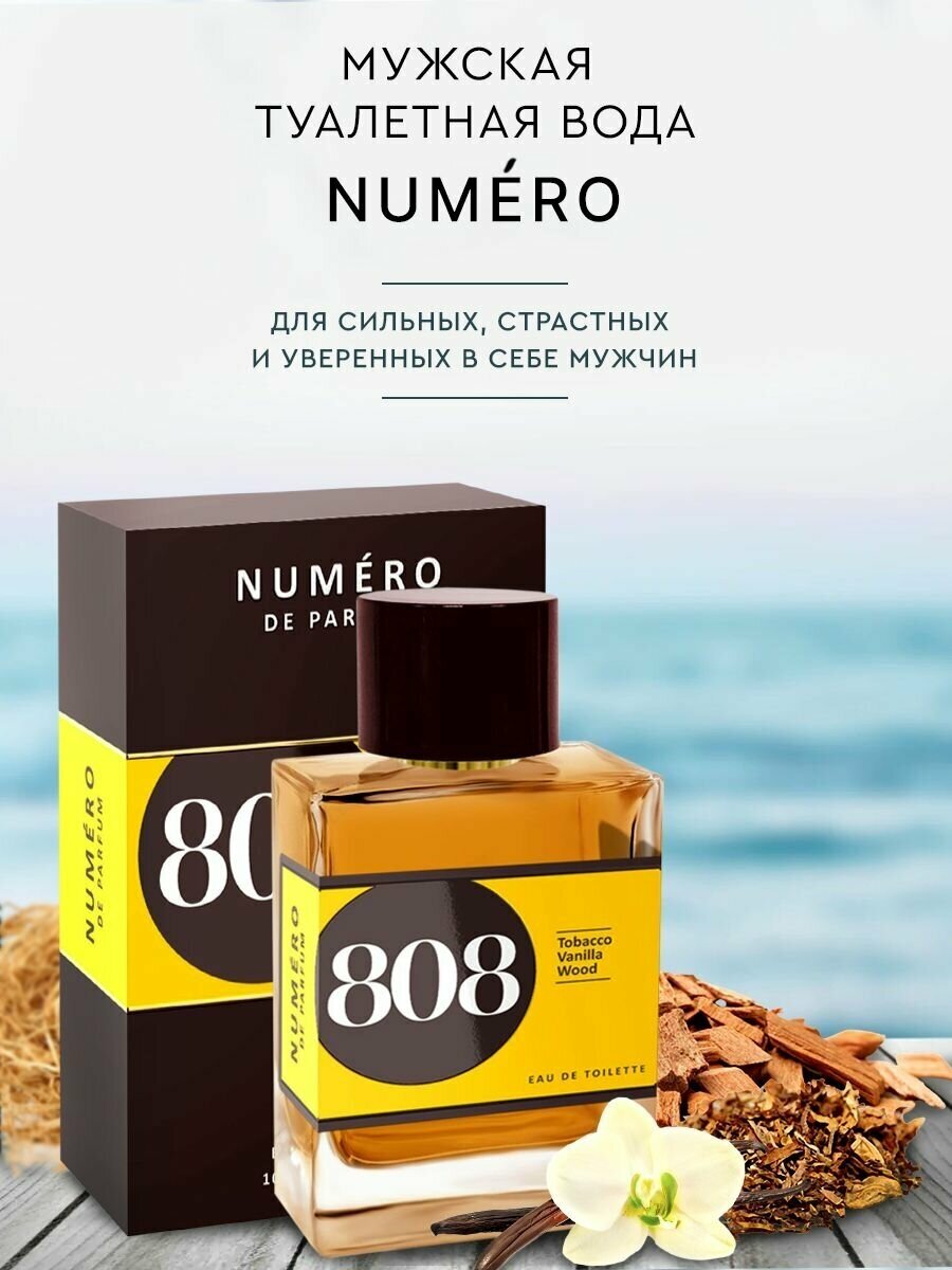 Духи мужские Numero de Parfum 808 туалетная вода 100мл