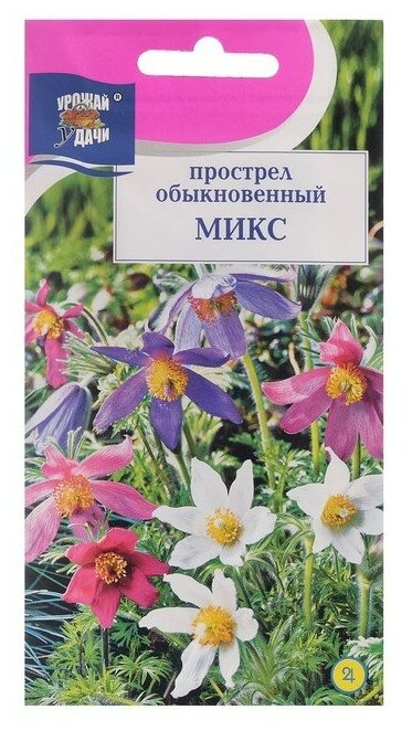 Семена цветов Прострел обыкновенный "Микс", 0,03 г