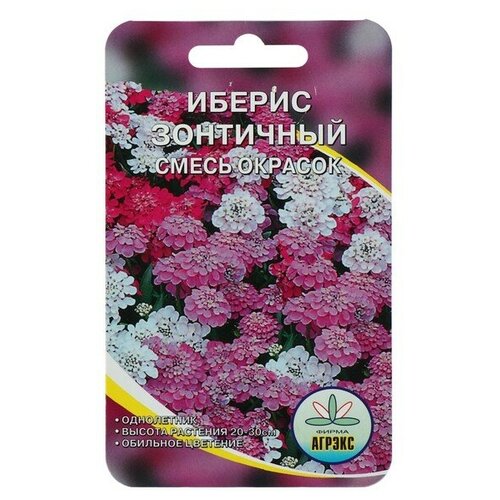 Семена цветов Иберис Зонтичный, Cмесь окрасок, 0,2 г семена цветов гвоздика cмесь окрасок турецкая цп 0 2 г